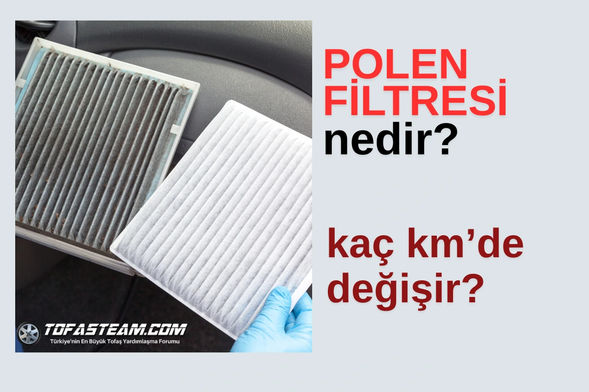 Polen Filtresi Nedir? Ne İşe Yarar? Ne Zaman Değişir?